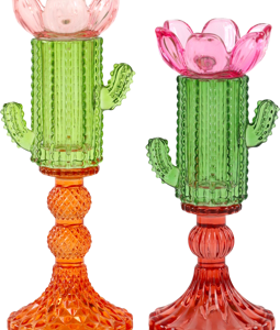 6407 BOUGEOIR CHARMING CACTUS 2P